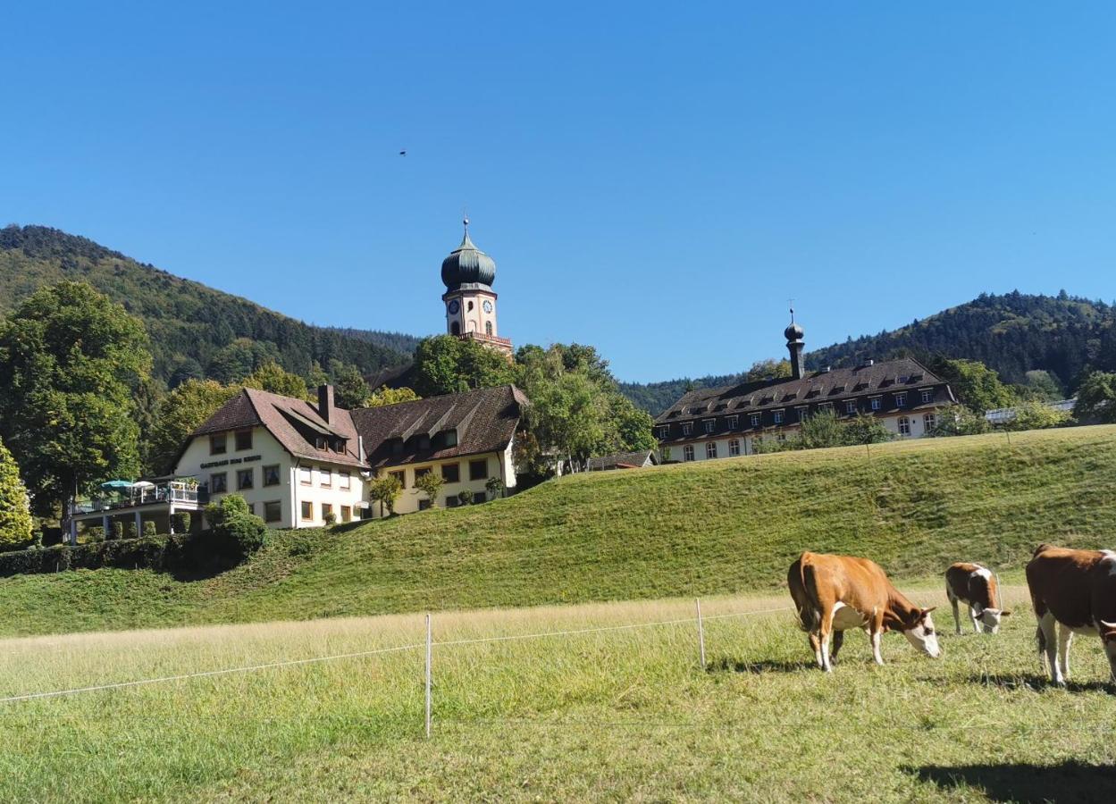 Ferienwohnungen Vogelsang Münstertal Exterior foto